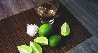 Scarti della produzione di tequila diventano mattoni: aiuteranno chi ne ha bisogno e sono green