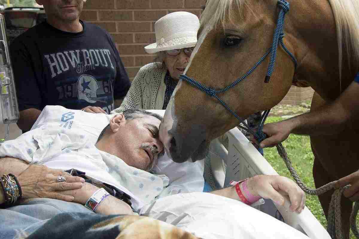 Il cavallo Mario consola l'amico Roberto