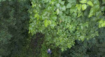 Nel suo giardino, la più grande al mondo: ha battuto il record, mai visto nulla di simile