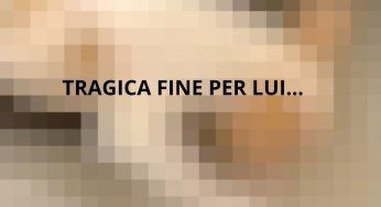 Gli ha staccato la testa a morsi, agghiacciante fine per lui