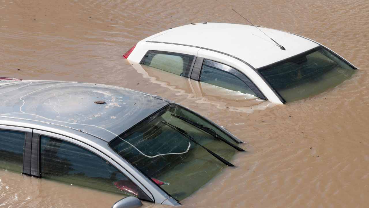 salvarsi da una auto che cade nel fiume