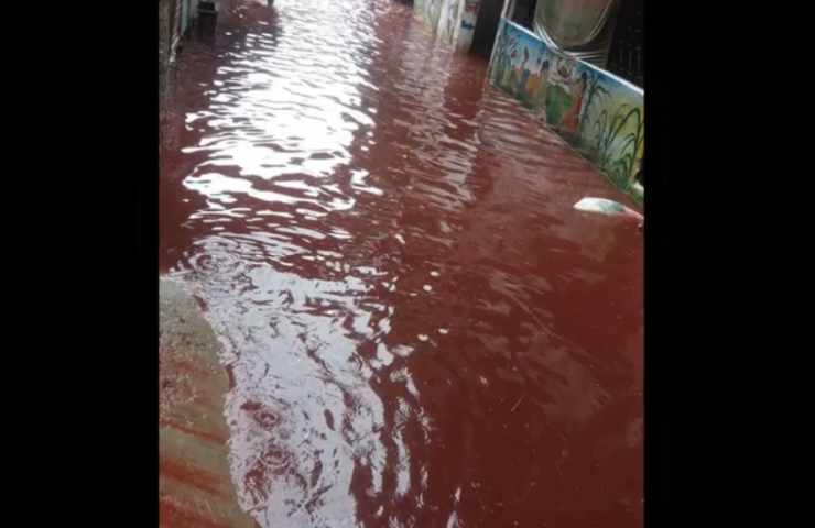 le strade di dhaka rosse dopo i riti