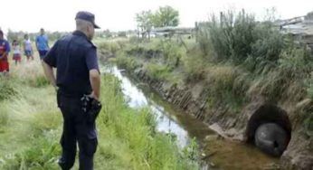 Un agricoltore trova un uovo gigante: non ha la minima di cosa ha scoperto FOTO