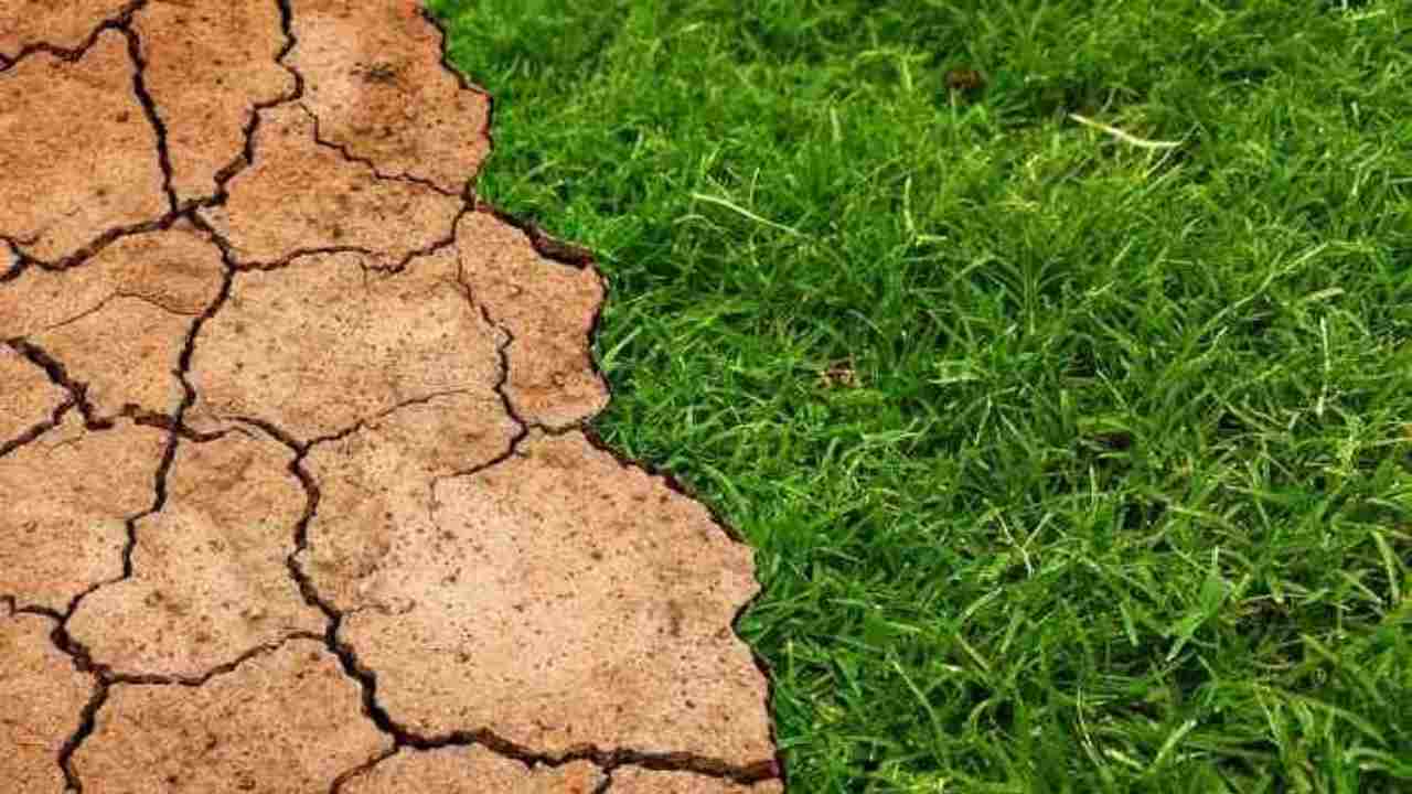 cambiamento climatico 