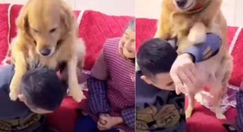 Il cane è una furia e aggredisce il padrone all’improvviso: sconvolgente il motivo – VIDEO