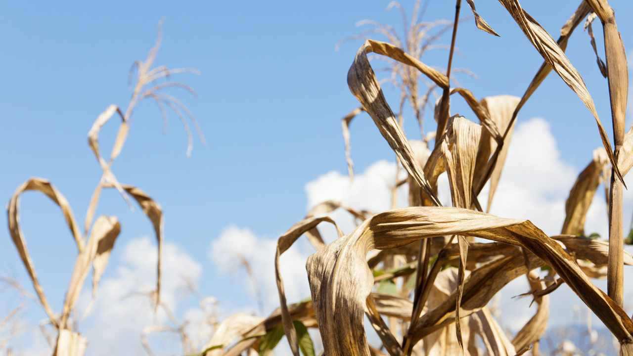 Comuni restrizioni acqua Spagna siccità