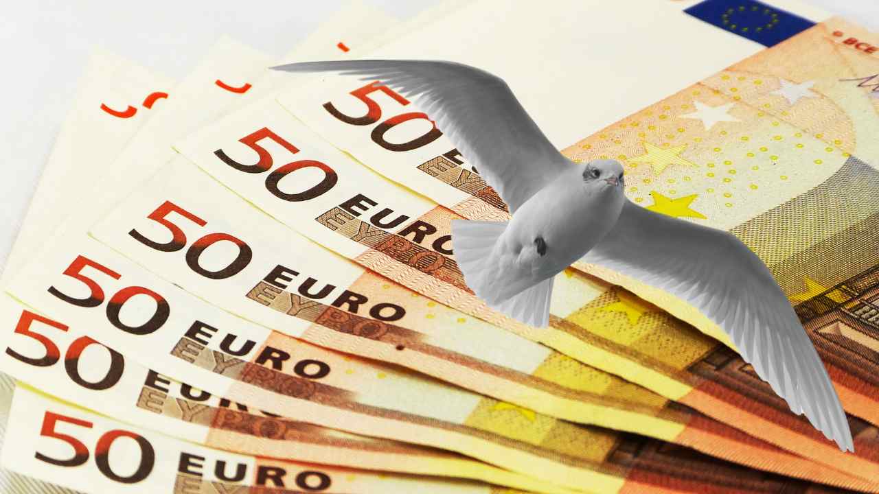 Uccelli sulle nuove banconote dell'Euro: i volatili alla “sfida