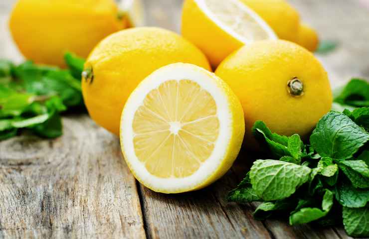 coltivare pianta limoni