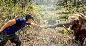 Lo afferra con la proboscide, poi accade l’impensabile