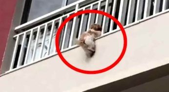 Si aggrappa al balcone con tutte le sue forze: cosa accade subito dopo