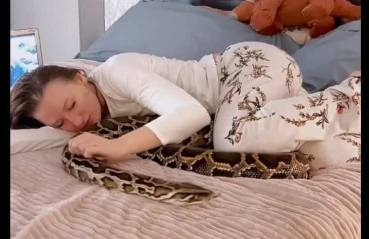 serpenti sul letto