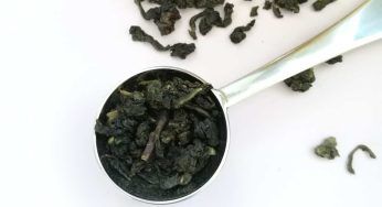 Tè oolong, un toccasana per la salute: ma occhio alle controindicazioni