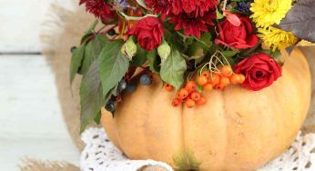 Guscio della zucca, può diventare un fantastico vaso autunnale: guarda qua – FOTO