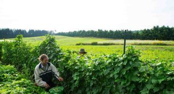 “Acqua è vita, acqua è cibo”, l’agricoltura si fa più sostenibile e abbatte gli sprechi idrici