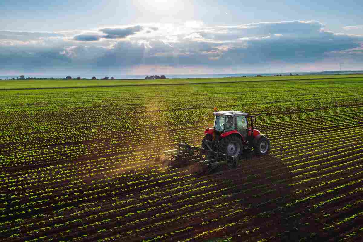 trattore che coltiva il campo