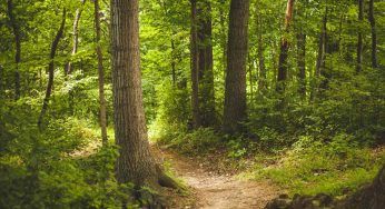 Silent walk, la camminata diventata famosa sui social: perchè fa bene