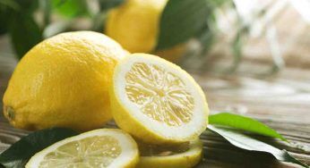 Semi dei limoni, puoi utilizzarli anche così: evita di sprecare gettandoli via