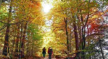 Autunno e lunghe camminate: i luoghi in Italia dove avventurarsi