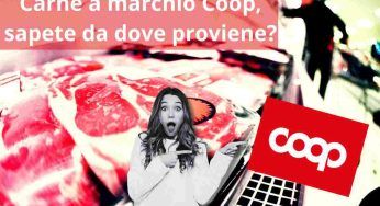 Coop, da dove arriva tutta la carne che vedete in vendita? Scopriamolo insieme