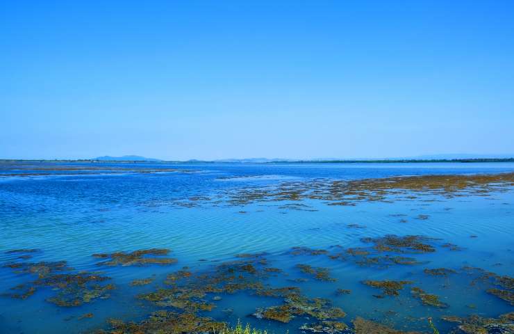 Laguna Orbetello