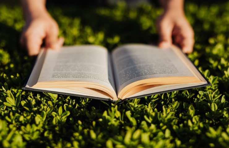 Uomo sfoglia un libro sulla natura in vacanza