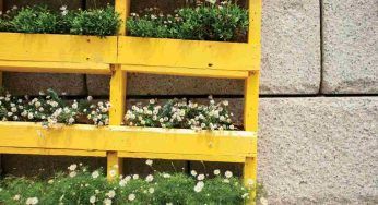 Orto verticale in balcone, come costruirlo utilizzando dei vecchi pallet