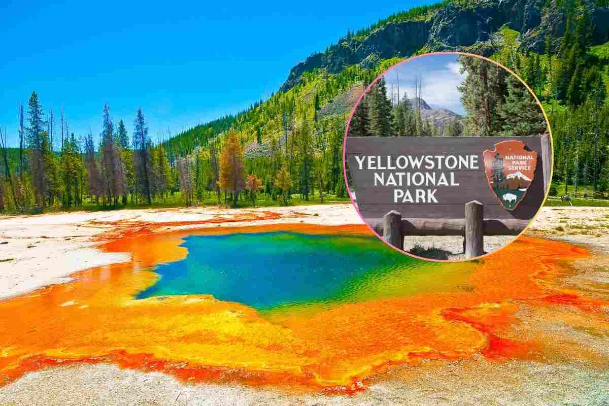 Parco di Yellowstone USA