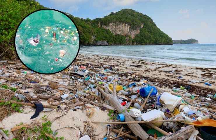 Spiaggia invasa da detriti