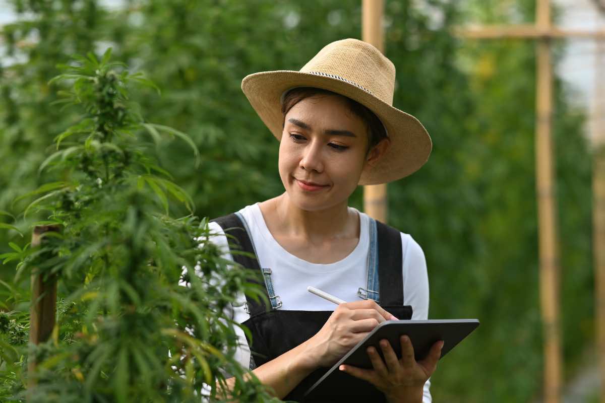 La PAC danneggia gli agricoltori