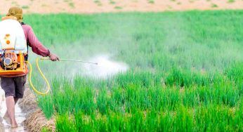 Stop all’uso del pesticida nocivo: la decisione storica