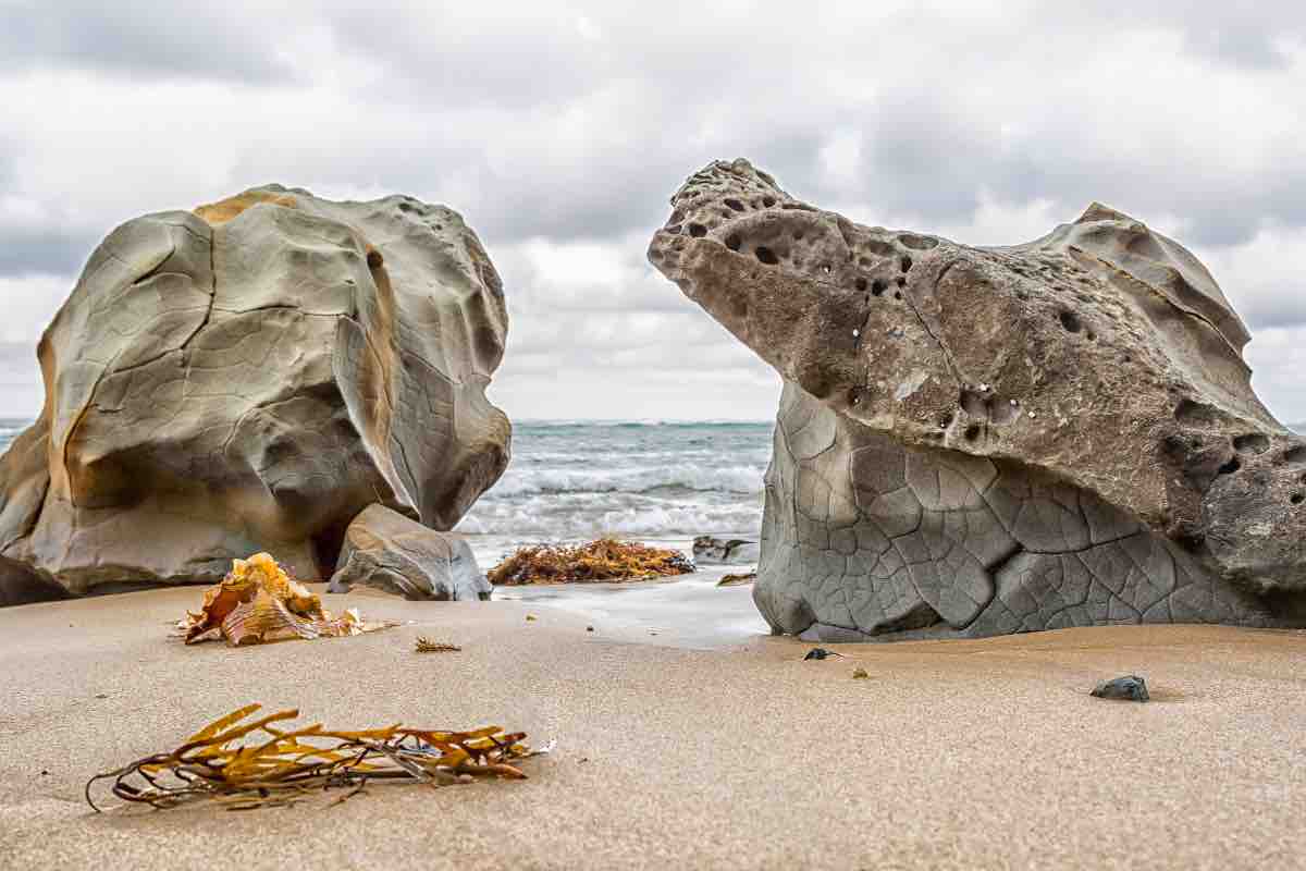 Attenzione ai datteri di mare