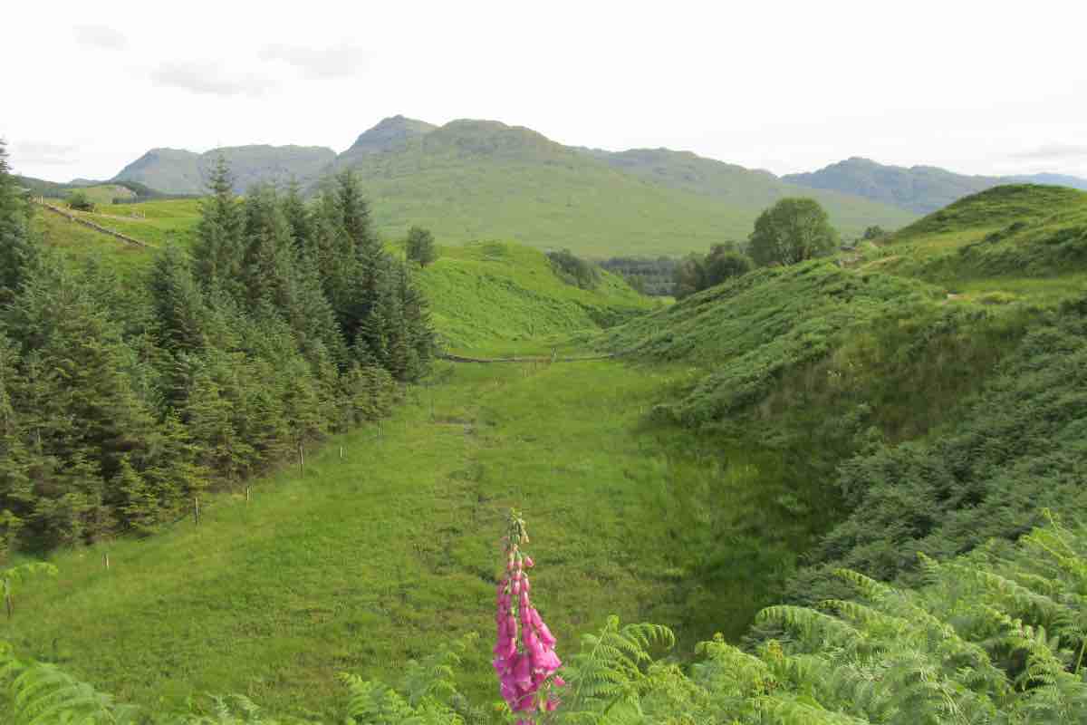 Paesaggi naturali scozzesi sulla West Highland Way