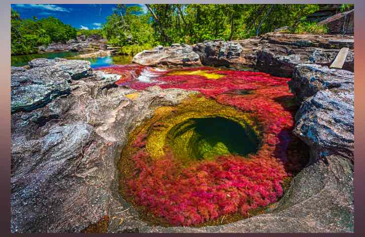 Il canale del fiume di diversi colori in Colombia