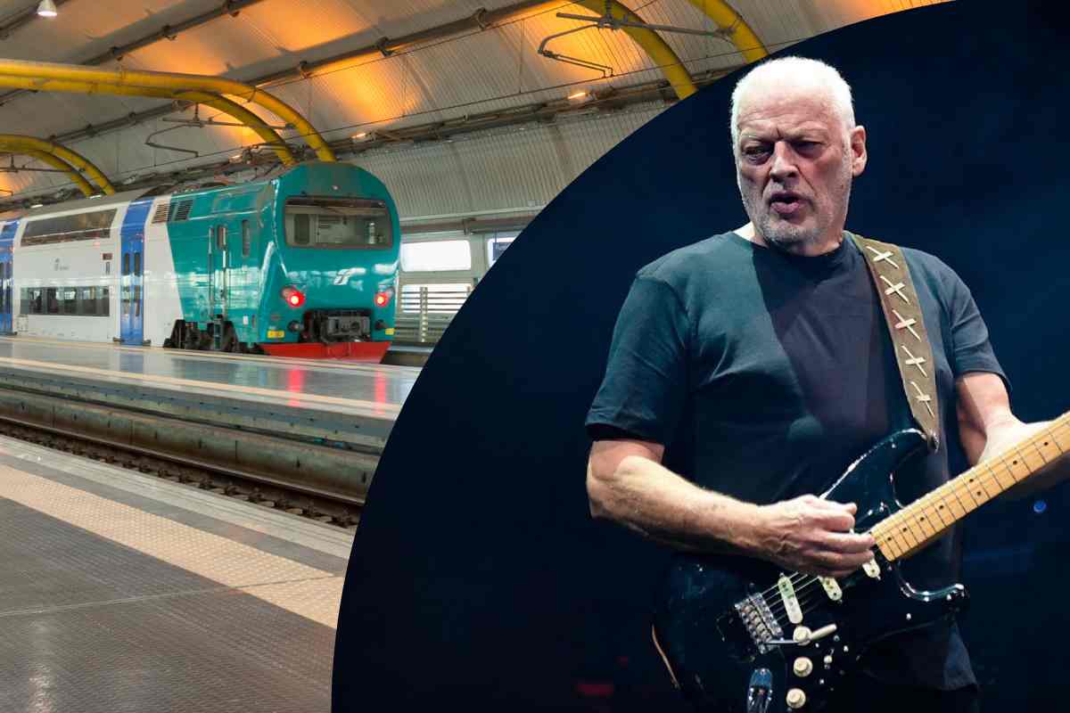 David Gilmour