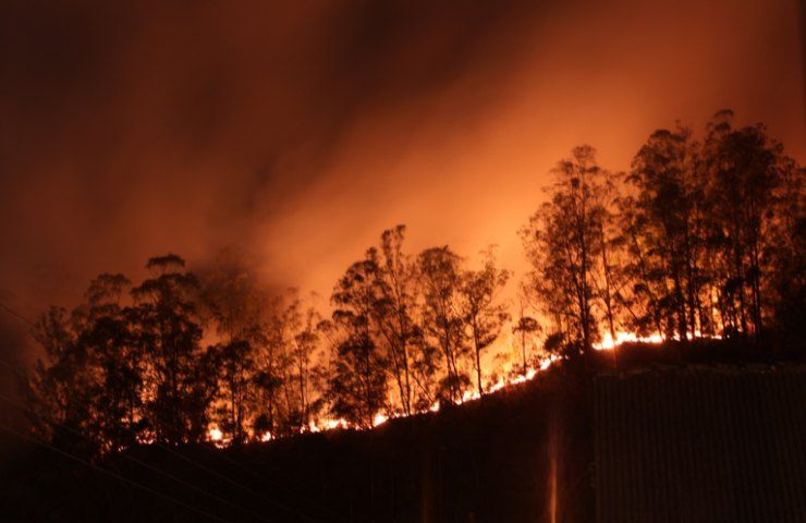 Spaventosi incendi devastano il Brasile, a rischio migliaia di ettari e di persone e animali