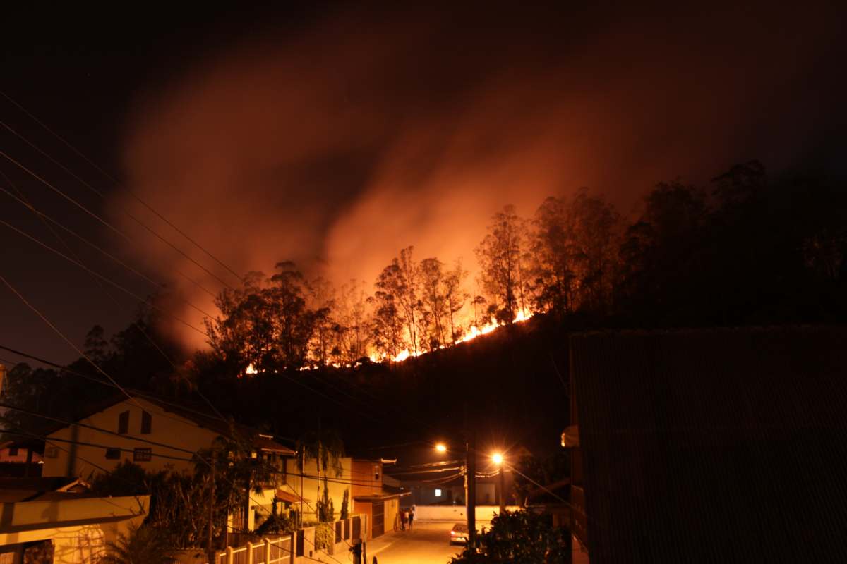 Spaventosi incendi devastano il Brasile, a rischio migliaia di ettari e di persone e animali