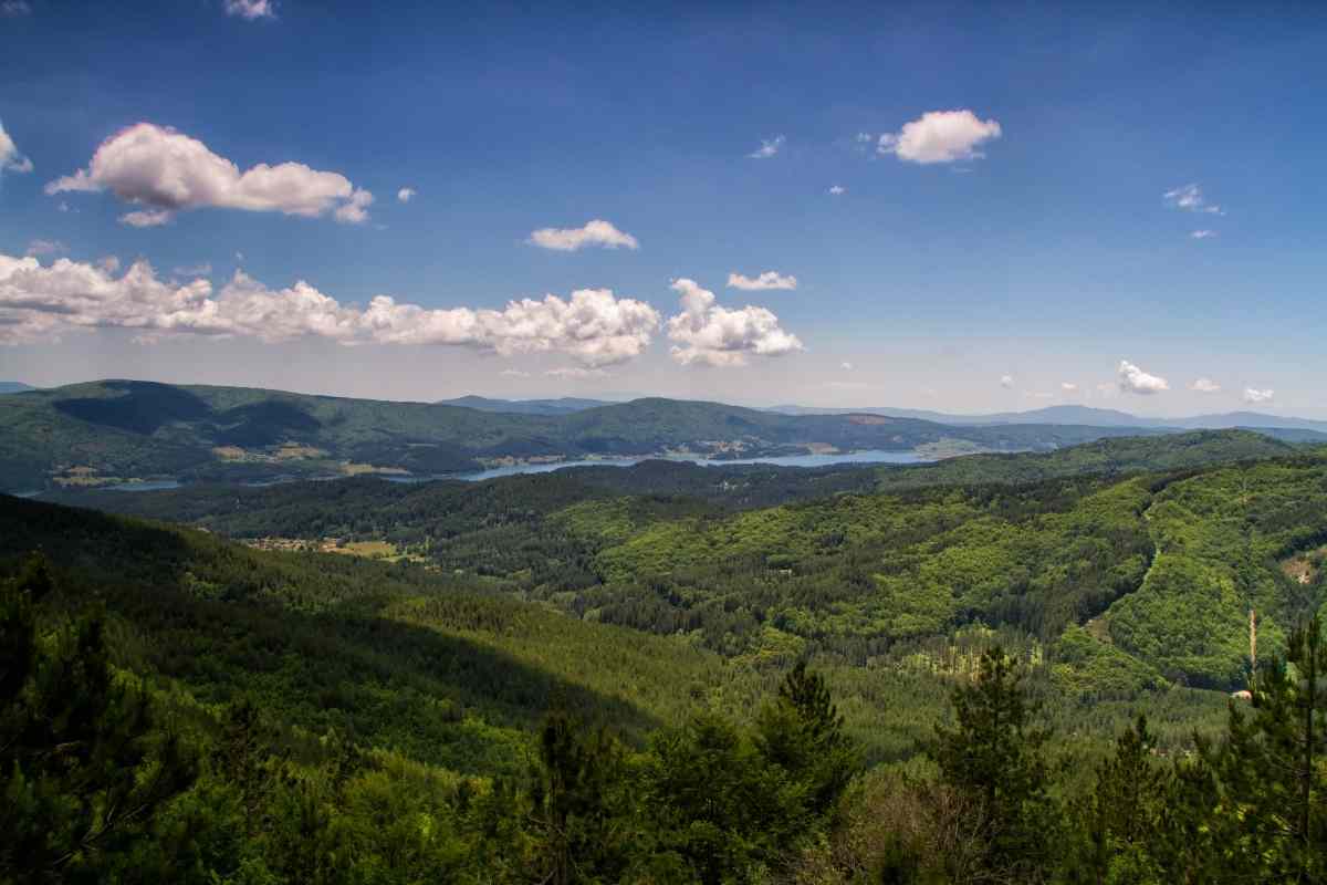 panorama boschivo