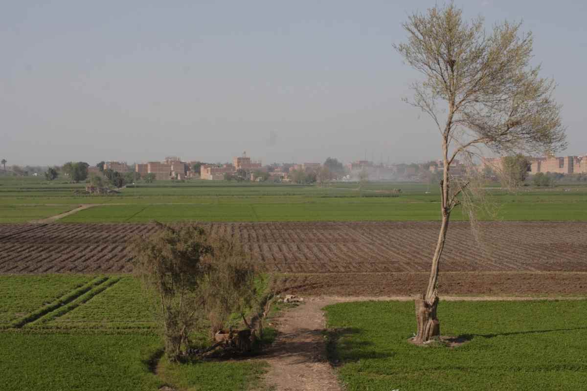 terreno agricolo