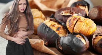 Castagne, quante possiamo mangiarne? Diciamo tutta (ma tutta) la verità