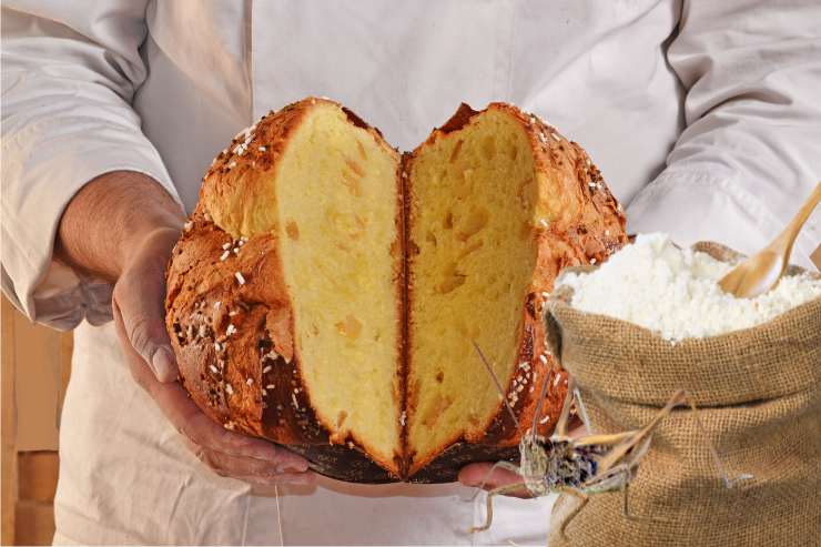 panettone farina di grilli