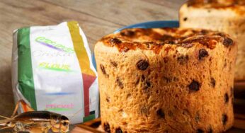 Panettone, che sapore ha la prima versione con farina di grilli e insetti caramellati?