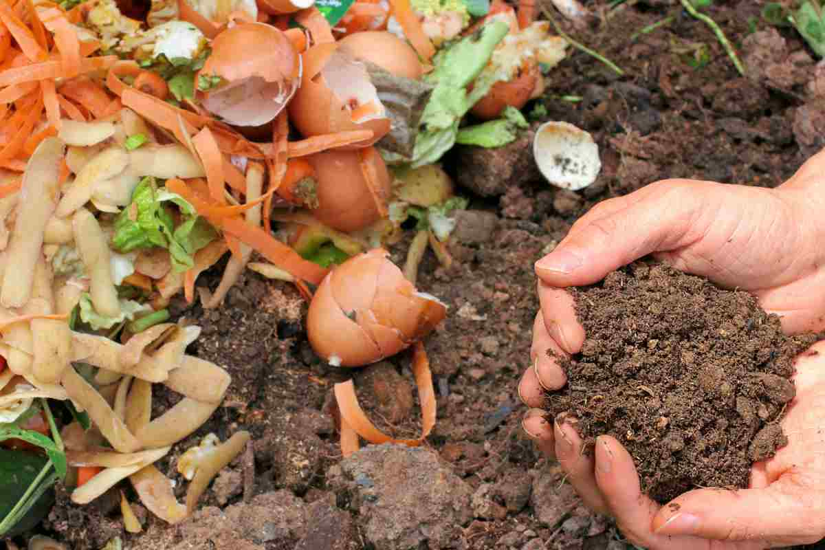 realizzare compost 