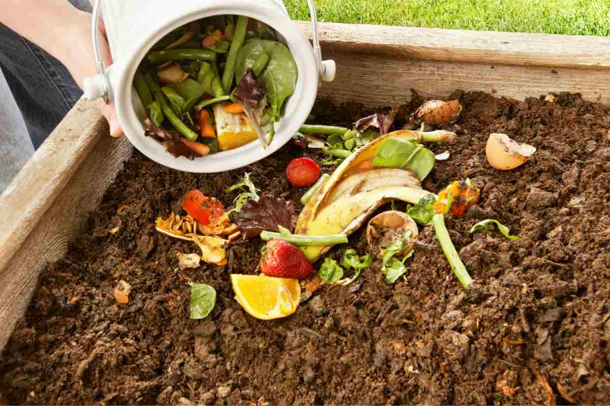 realizzare compost 