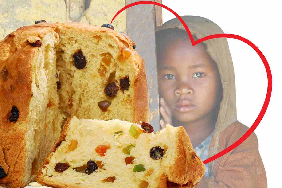 panettone emergency