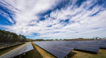 Il fotovoltaico in Italia nel 2024: oltre 265mila nuovi impianti e una crescita record