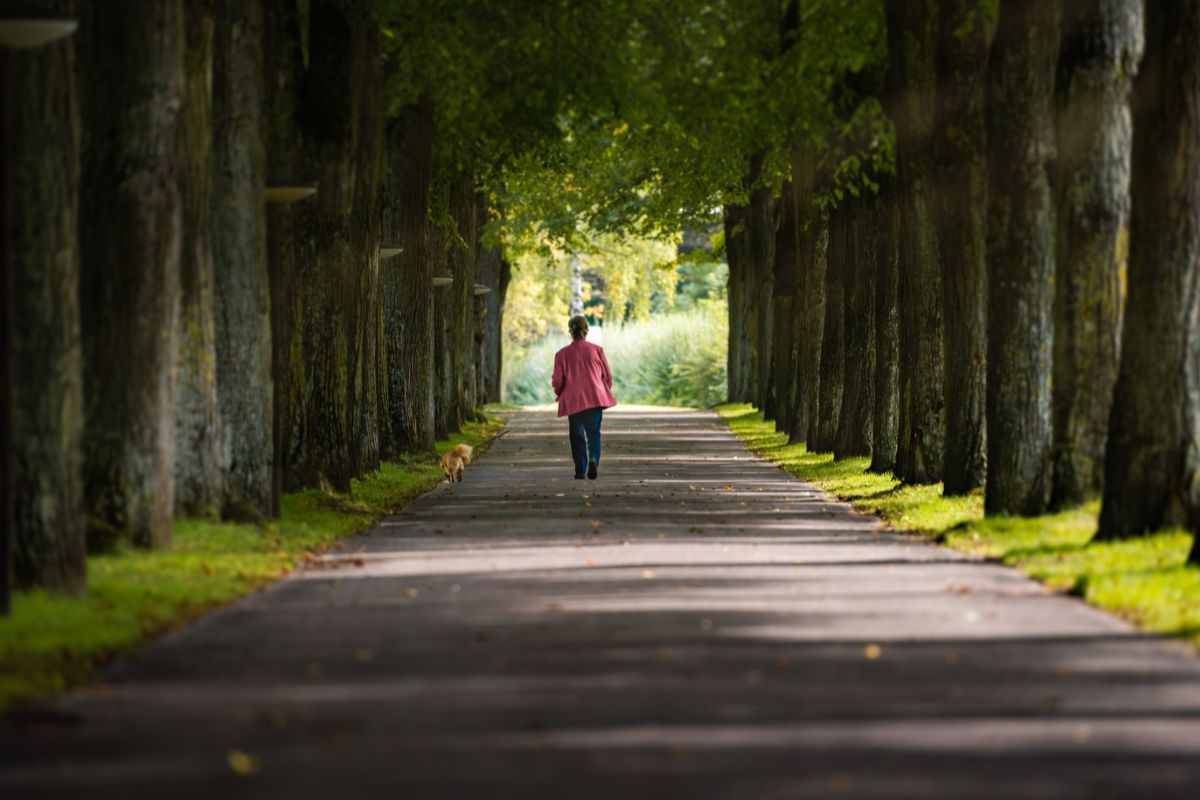 Donna passeggia in un viale alberato