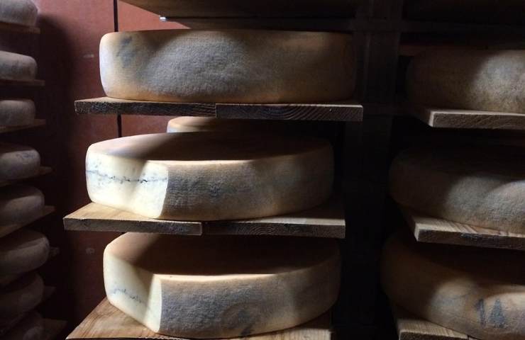 Formaggio Morbier