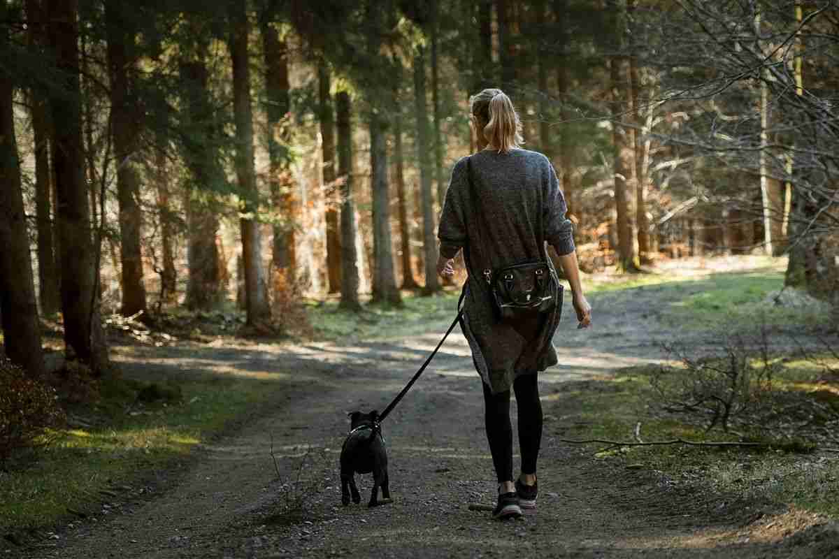 Ragazza porta a passeggio il cane in un sentiero boschivo