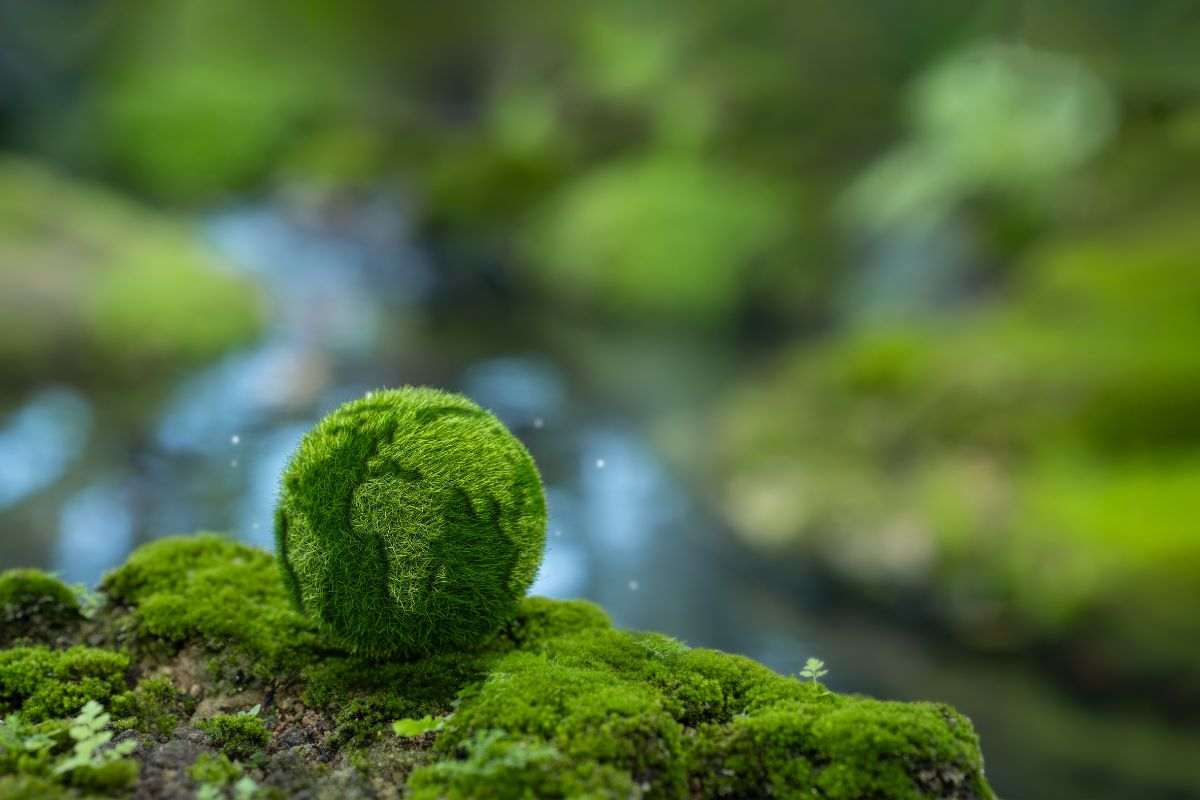 Tutela dell'ambiente a livello globale