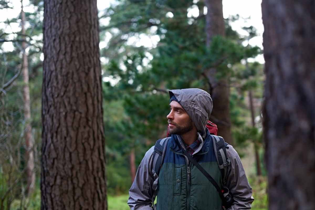 Uomo passeggia nel bosco